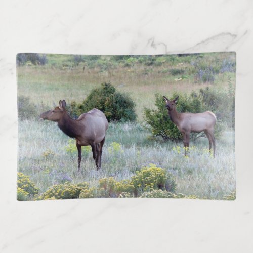 American Elk  Colorado Trinket Tray