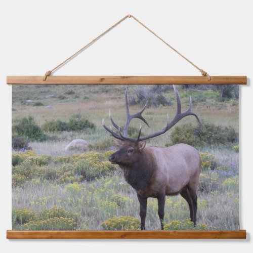 American Elk  Rocky National Park Colorado Hanging Tapestry