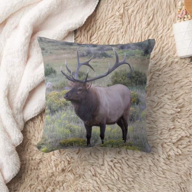American Elk | Rocky National Park, Colorado Throw Pillow (Blanket)