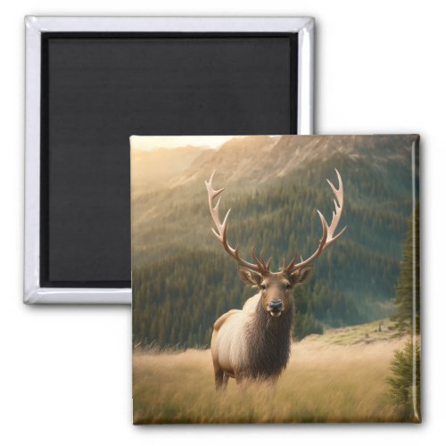 American Elks Wildlife Moose Deer Bull Cervus Magnet