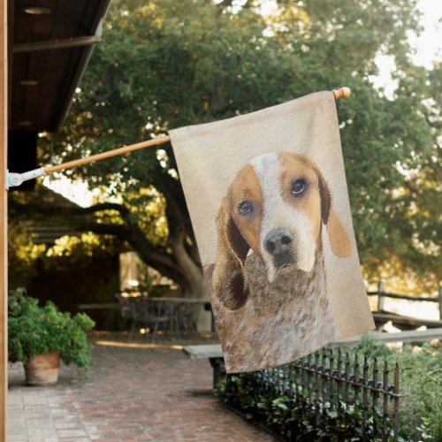 American English Coonhound Painting _ Dog Art House Flag