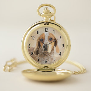 American English Coonhound Painting - Dog Art Pocket Watch