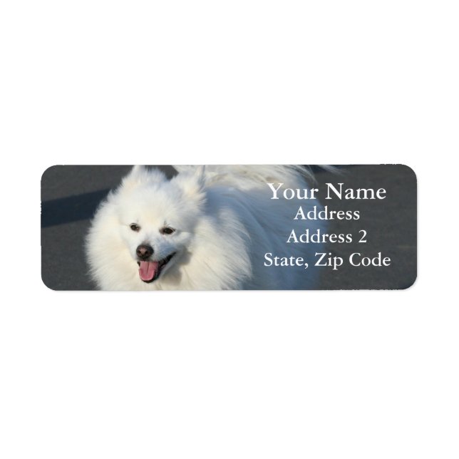 American Eskimo Address Labels (Front)