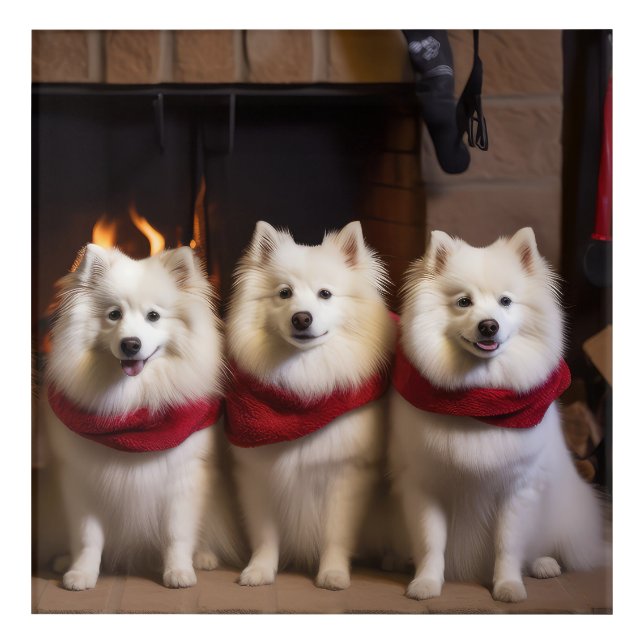 American Eskimo by the Fireplace Christmas Acrylic Print (Front)