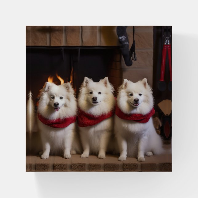 American Eskimo by the Fireplace Christmas Paperweight (Front)