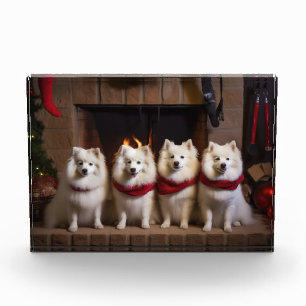 American Eskimo by the Fireplace Christmas Photo Block