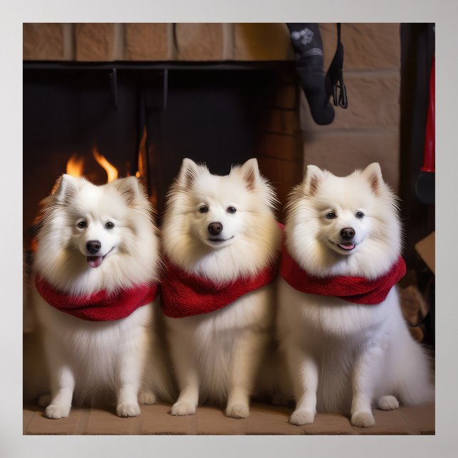 American Eskimo by the Fireplace Christmas Poster (Front)