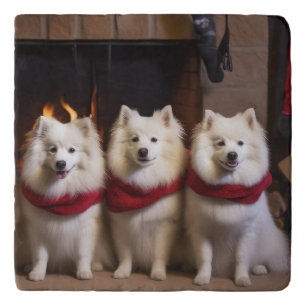 American Eskimo by the Fireplace Christmas Trivet