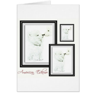American Eskimo Cards