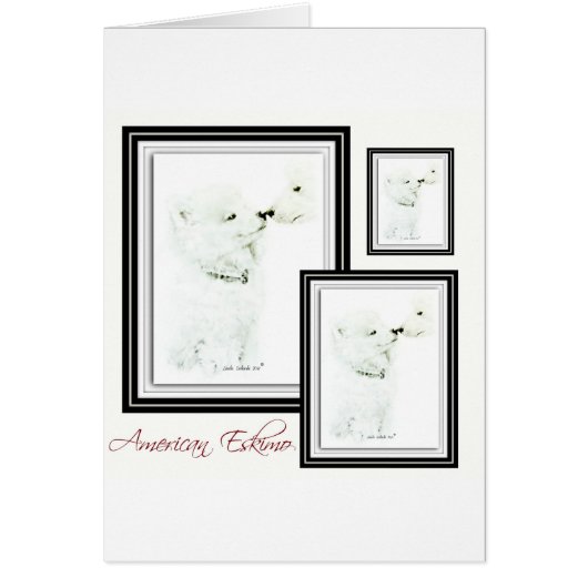 American Eskimo Cards (Front)
