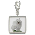 American Eskimo Charm