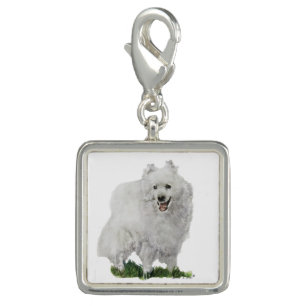 American Eskimo Charm