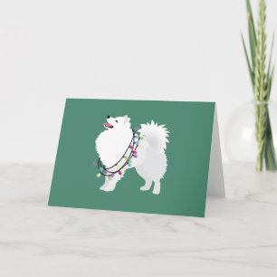 American Eskimo Christmas Design Holiday Card