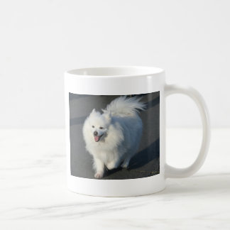 American Eskimo Coffee Mug