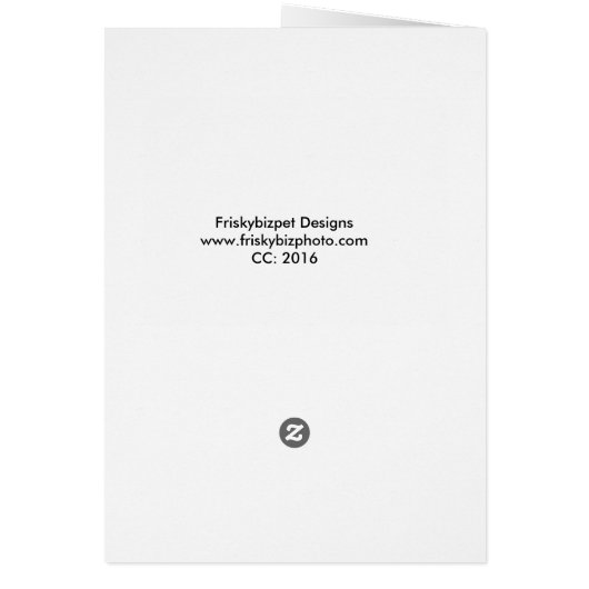 American Eskimo Daisy Dog (Back)