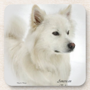 American Eskimo Dog Art Beverage Coaster