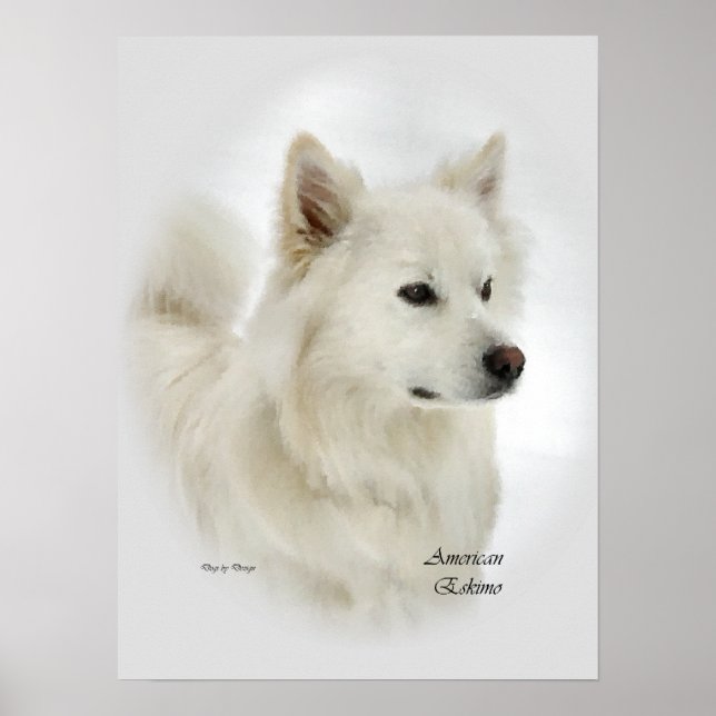American Eskimo Dog Art Gifts Poster (Front)