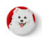 American Eskimo Dog Color Block