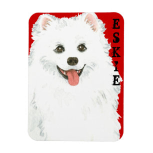American Eskimo Dog Color Block Magnet