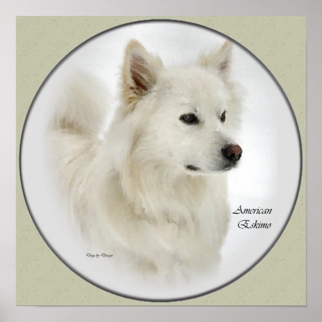 American Eskimo Dog Gifts Art Poster (Front)