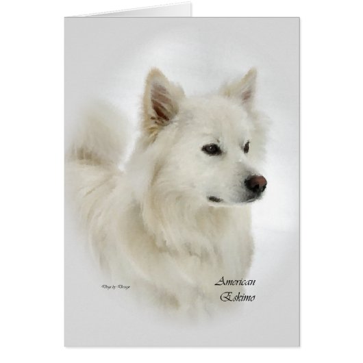 American Eskimo Dog Gifts Cards (Front)