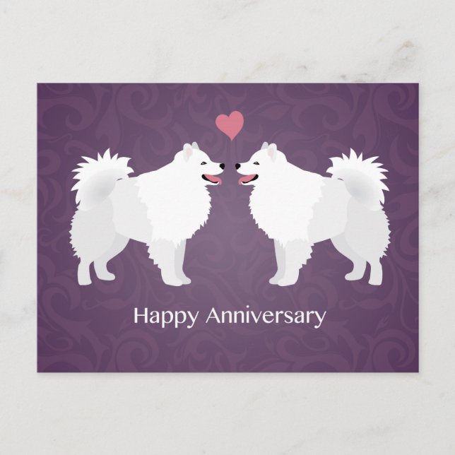 American Eskimo Dog Happy Anniversary Design Postcard (Front)