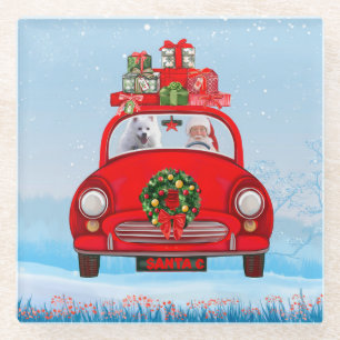 American Eskimo Dog In Car With Santa Claus Glass Coaster