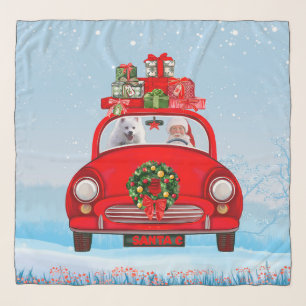 American Eskimo Dog In Car With Santa Claus Scarf