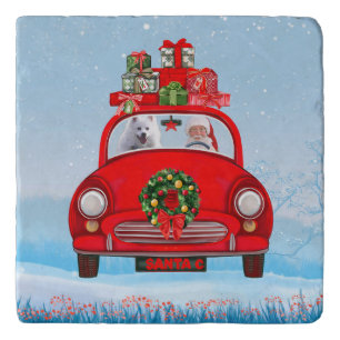 American Eskimo Dog In Car With Santa Claus Trivet