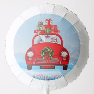 American Eskimo Dog In Car With Santa Clause Balloon