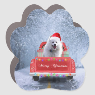 American Eskimo Dog in Snow sitting in Christmas Car Magnet