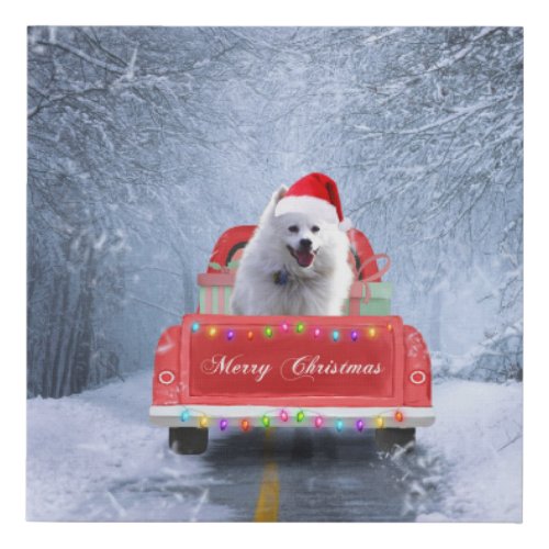 American Eskimo Dog in Snow sitting in Christmas  Faux Canvas Print