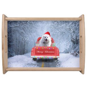American Eskimo Dog in Snow sitting in Christmas Serving Tray