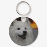 American Eskimo Dog Keychain