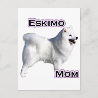 American Eskimo Dog Mom 4 Postcard