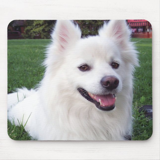 American Eskimo dog Mouse Pad (Front)