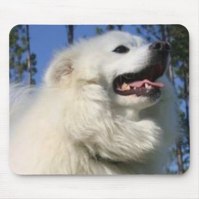 American Eskimo Dog Mousepad (Front)