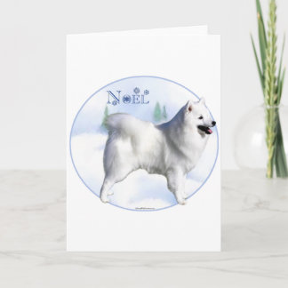 American Eskimo Dog Noel Holiday Card