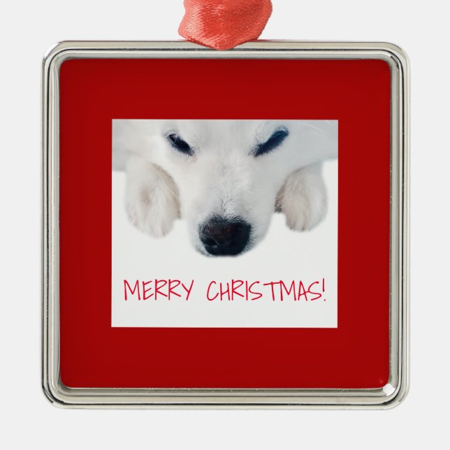 American Eskimo Dog Ornament / Spitz Dog Ornament (Front)