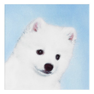 American Eskimo Dog Painting - Original Dog Art