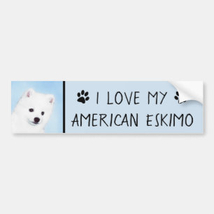 American Eskimo Dog Painting - Original Dog Art Bumper Sticker