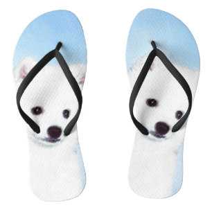 American Eskimo Dog Painting - Original Dog Art Flip Flops