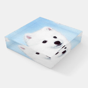 American Eskimo Dog Painting - Original Dog Art Paperweight