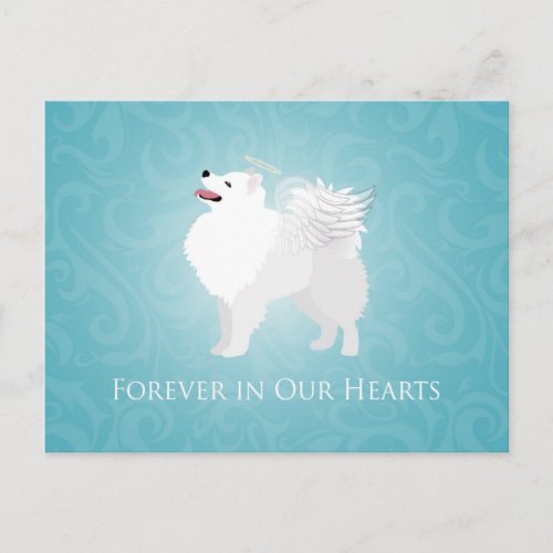 American Eskimo Dog Pet Loss Sympathy Design Postcard