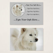 American Eskimo Dog Profile Cards (Front & Back)