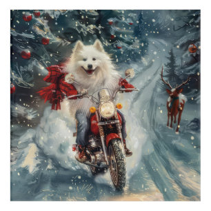 American Eskimo Dog Riding Motorcycle Christmas  Acrylic Print
