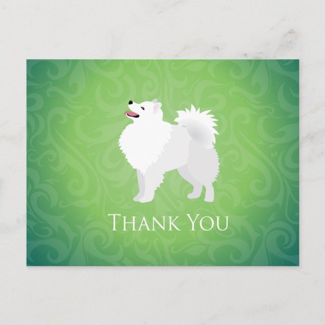 American Eskimo Dog Thank You Design Postcard (Front)