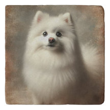 American Eskimo Dog
