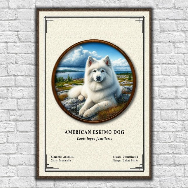 American Eskimo Dog Zoology Series Poster (Creator Uploaded)