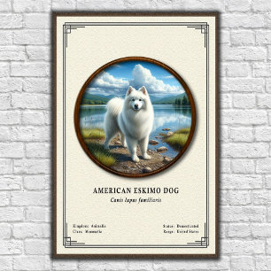 American Eskimo Dog Zoology Series Poster